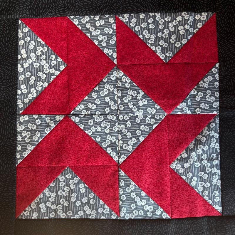 Technique du vol d'oies