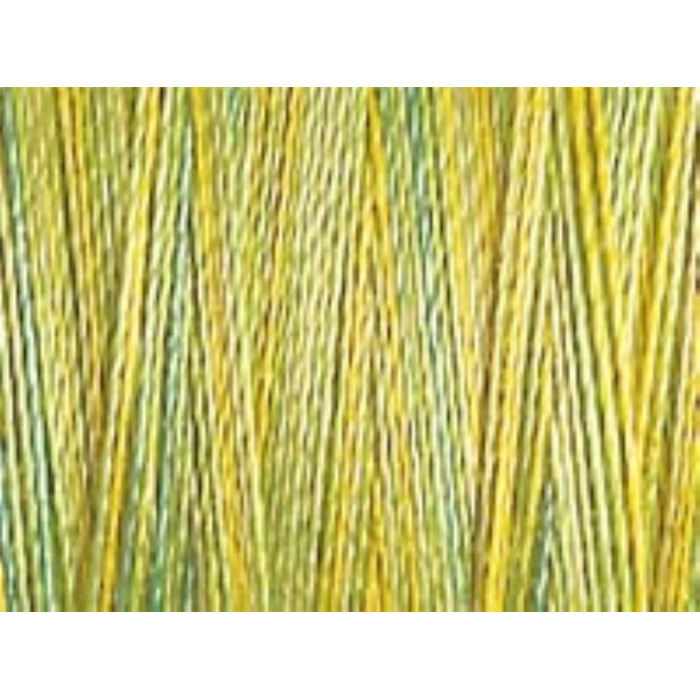 Fil Coton, quilting N°30 300m 4017 Fil Coton, quilting N°30 300m 4017