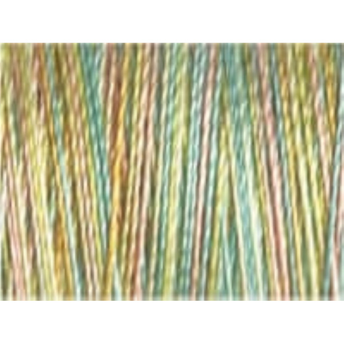 Fil Coton, quilting N°30 300m 4101 Fil Coton, quilting N°30 300m 4101