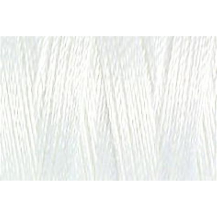 Fil Gutermann Rayon n°30 150m 1001 Fil Gutermann Rayon n°30 150m 1001